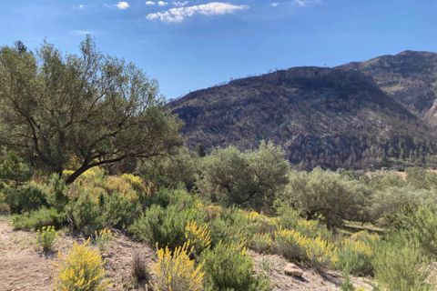 Landejendom i El Perello, Tarragona, El Perello - € 36.000 | Ref: Finca Montanas - foto 18